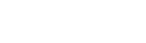 Data Solution Experts Logo